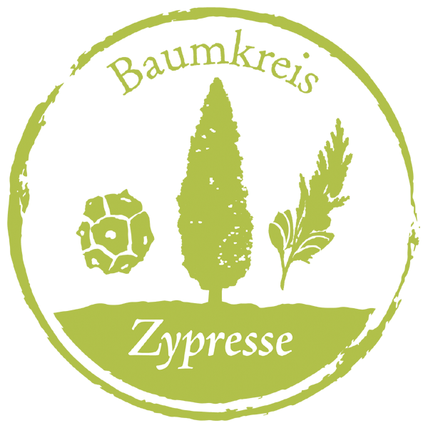 Zypresse