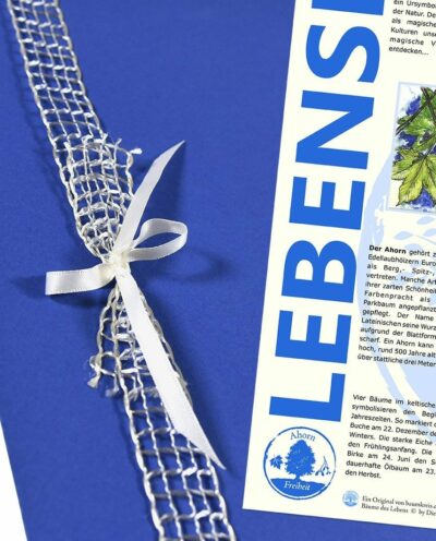 Lebensbaum Urkunde "Modern Jungs"