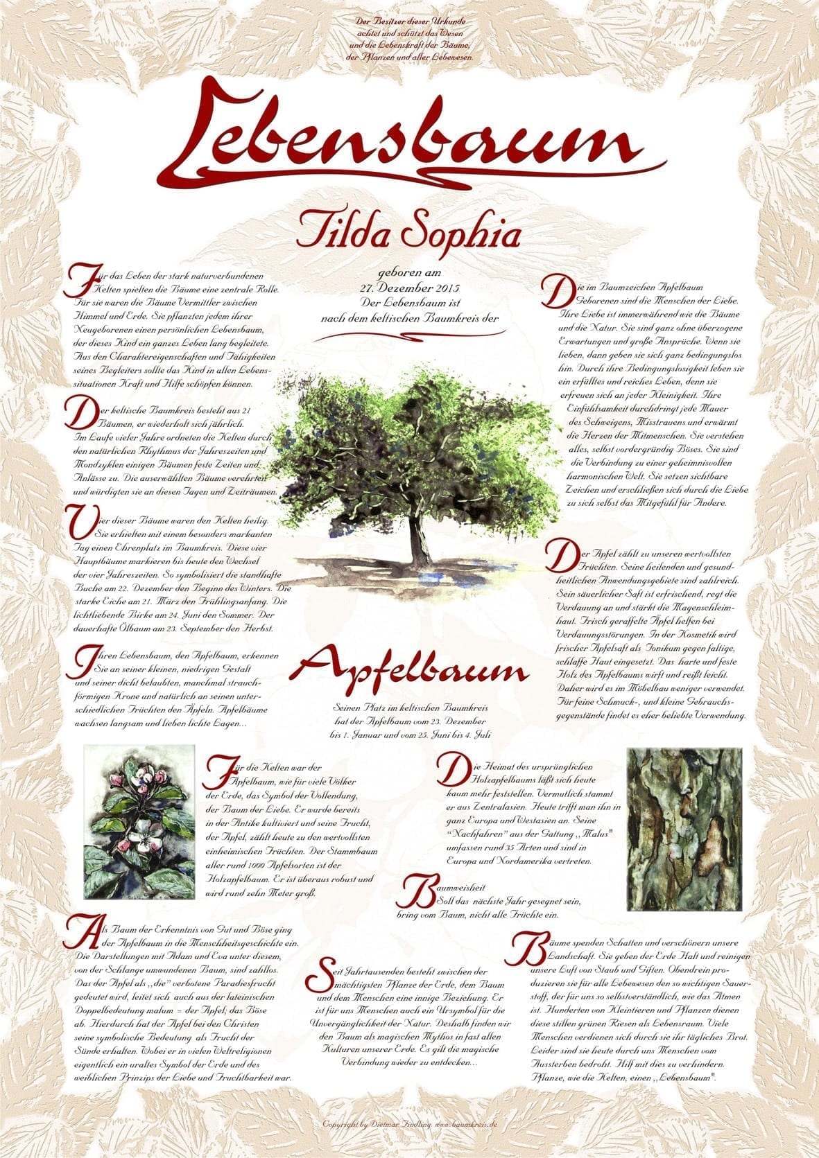 23.12.01.01. Apfelbaum Lebensbaum der Liebe Baumkreis Lebensbaum