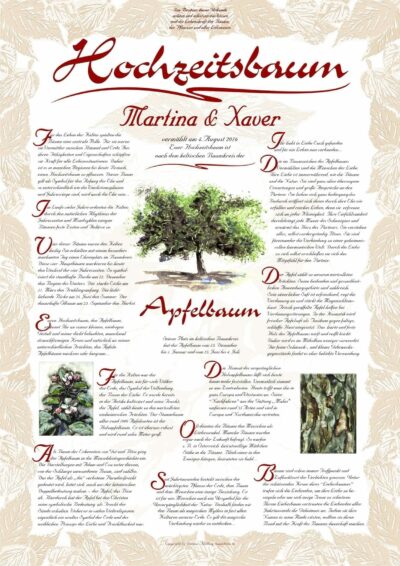 25.06.04.07. Apfelbaum Hochzeitsbaum der Liebe Baumkreis.de