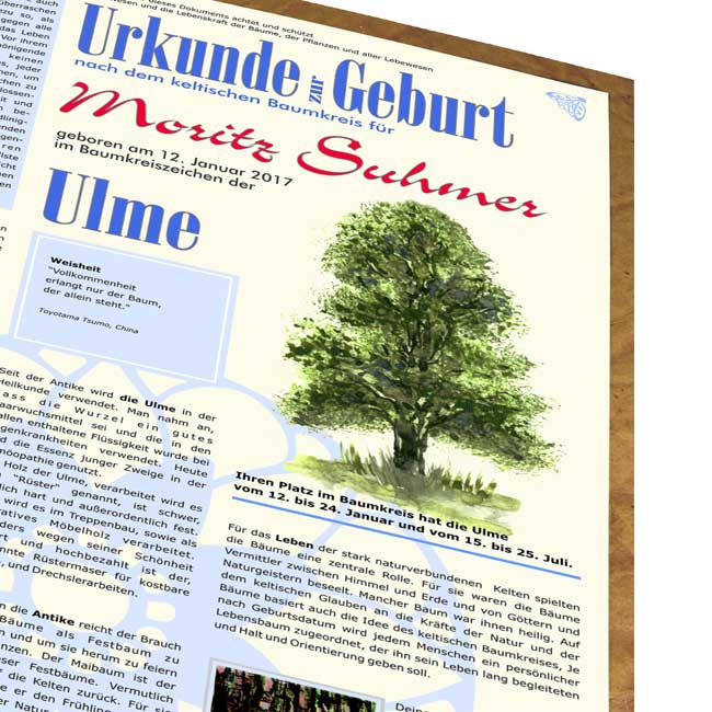 Lebensbaum Urkunde Modern zur Geburt für “Jungs