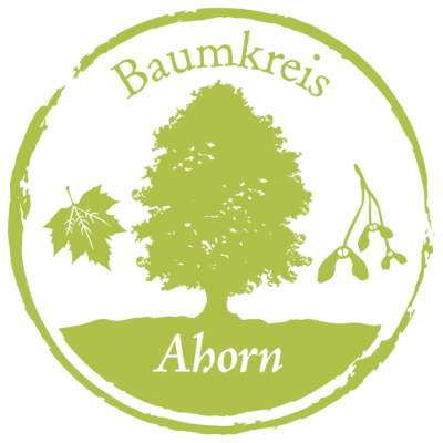 Ahorn Baumkreis Lebensbaum