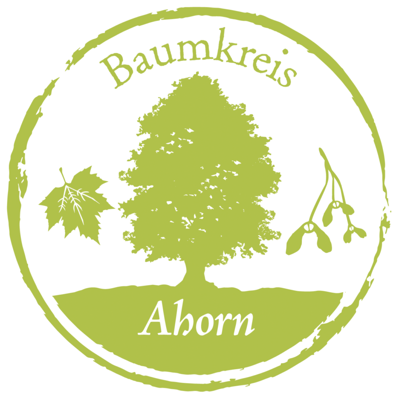 Ahorn Baumkreis Lebensbaum