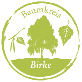 Birke Baumkreis Lebensbaum