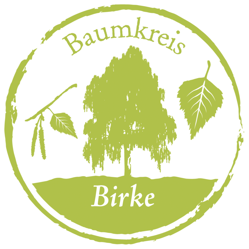 Birke Baumkreis Lebensbaum
