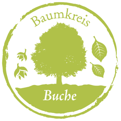 Buche Baumkreis Lebensbaum