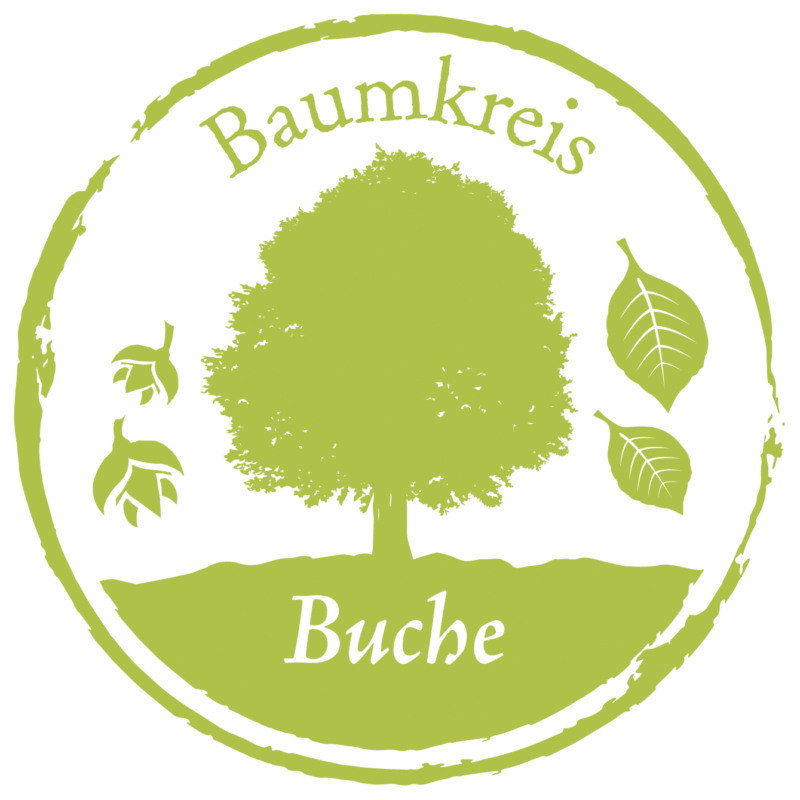 Buche Baumkreis Lebensbaum