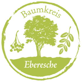 Eberesche Baumkreis Lebensbaum