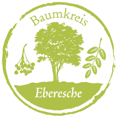 Eberesche Baumkreis Lebensbaum