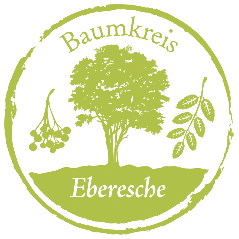 Eberesche Baumkreis Lebensbaum