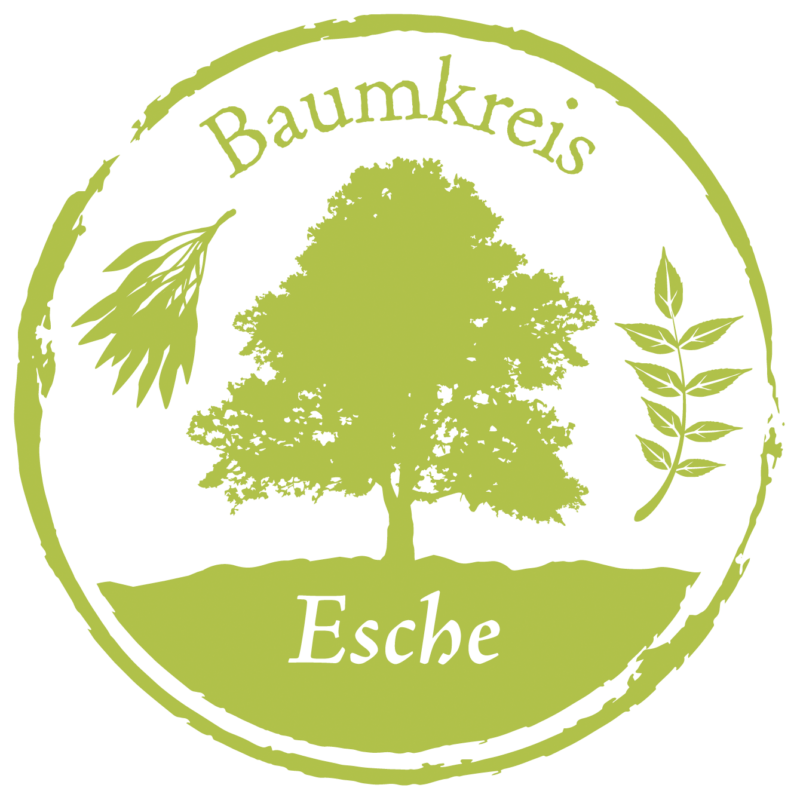 Esche Baumkreis Lebensbaum