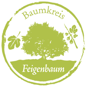 Feigenbaum Baumkreis Lebensbaum