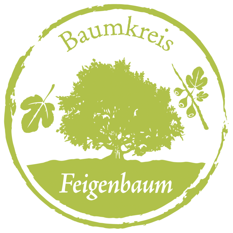 Feigenbaum Baumkreis Lebensbaum