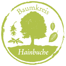 Hainbuche Baumkreis Lebensbaum