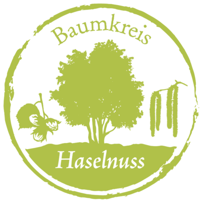 Haselnuss Baumkreis Lebensbaum