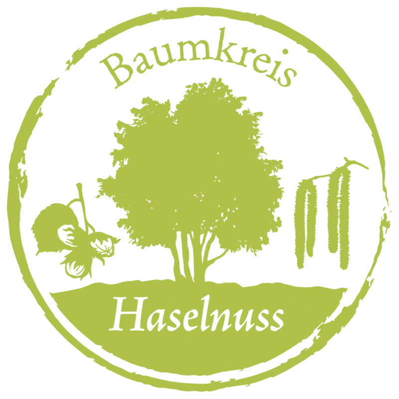 Haselnuss Baumkreis Lebensbaum