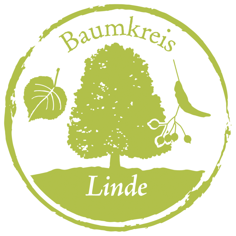 Linde Baumkreis Lebensbaum