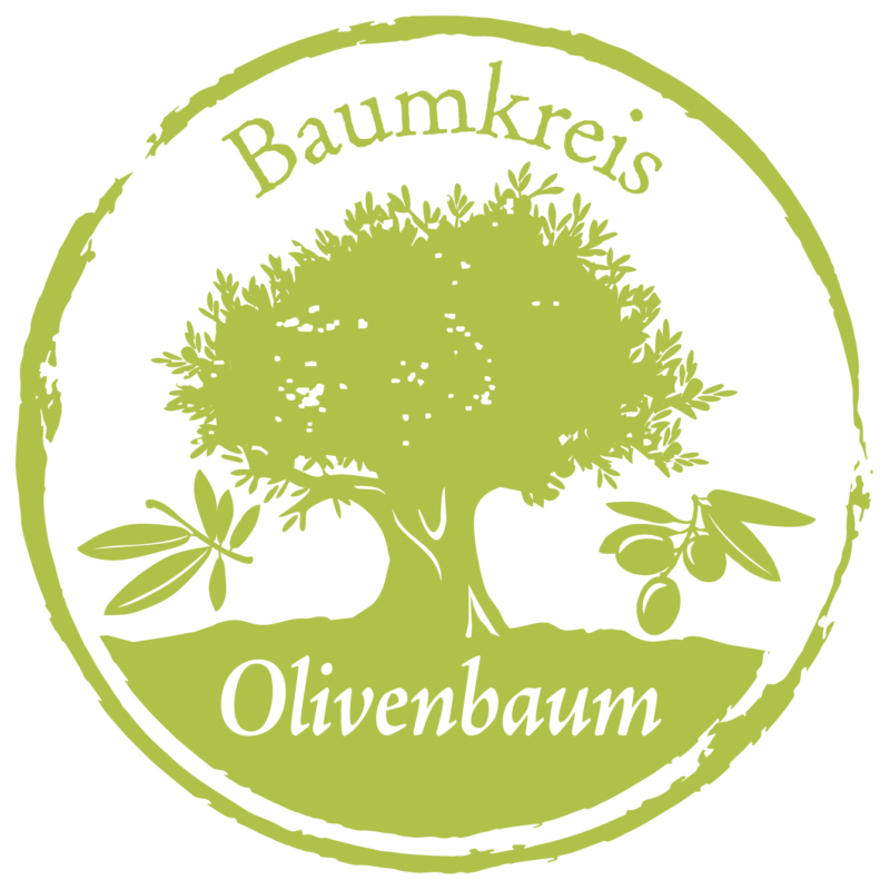 Olive Baumkreis Lebensbaum