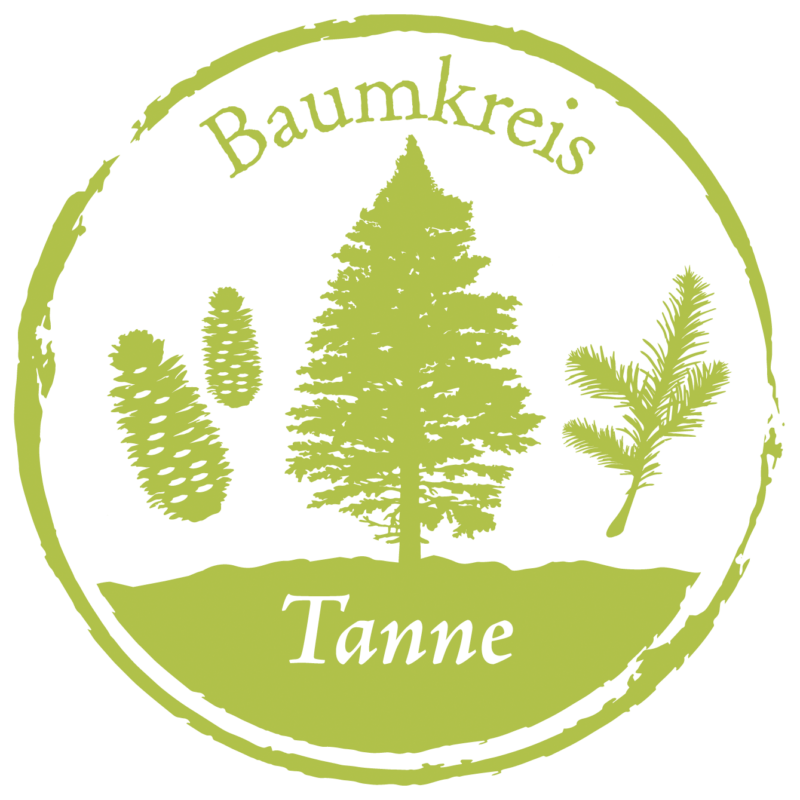 Tanne Baumkreis Lebensbaum