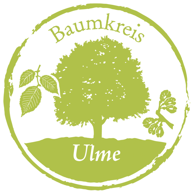 Ulme Baumkreis Lebensbaum