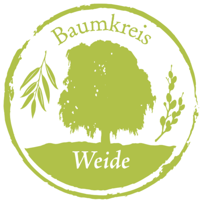 Weide Baumkreis Lebensbaum