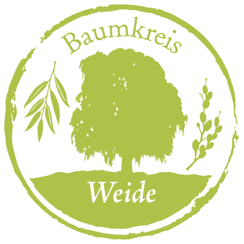 Weide Baumkreis Lebensbaum