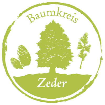 Zeder Baumkreis Lebensbaum