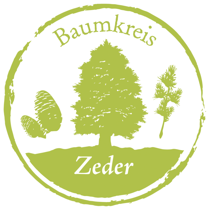 Zeder Baumkreis Lebensbaum