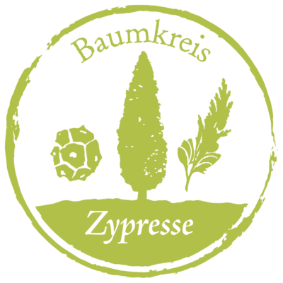 Zypresse Baumkreis Lebensbaum