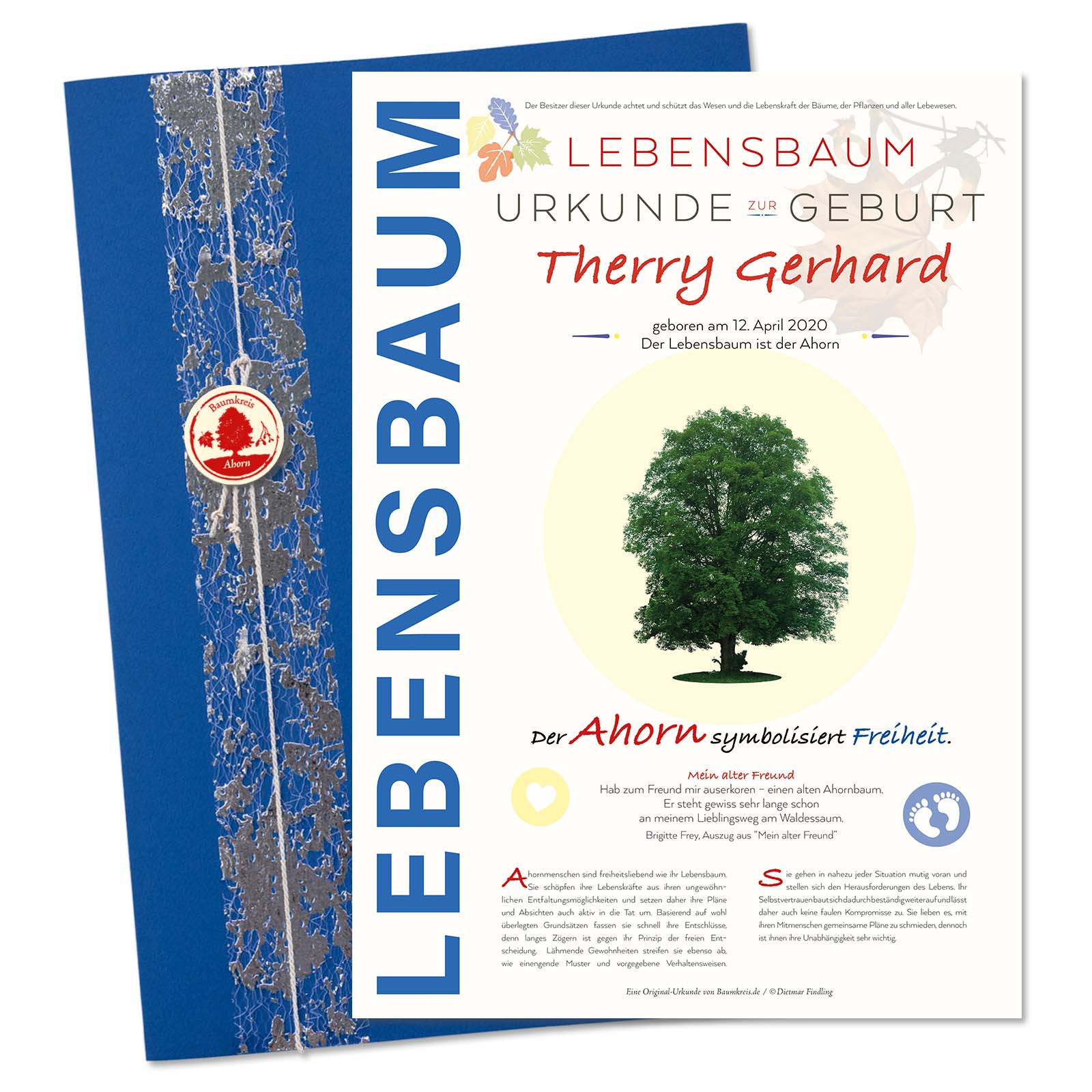 Jubiläums Baum Geburtstag 30 Jahre 16 cm Lebensbaum Geschenk Hochzeitstag 
